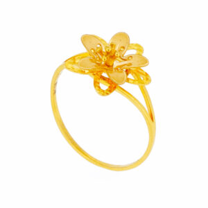 Ring 5